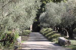 Entrée de la maison La Bastide sur le domaine de Dalméran pour des vacances en Provence