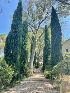Allée de Cyprés dans la bastide Dalméran