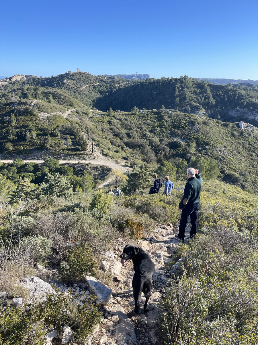 Les balades autour du Mas Paillan dans le Parc Naturel des Alpilles