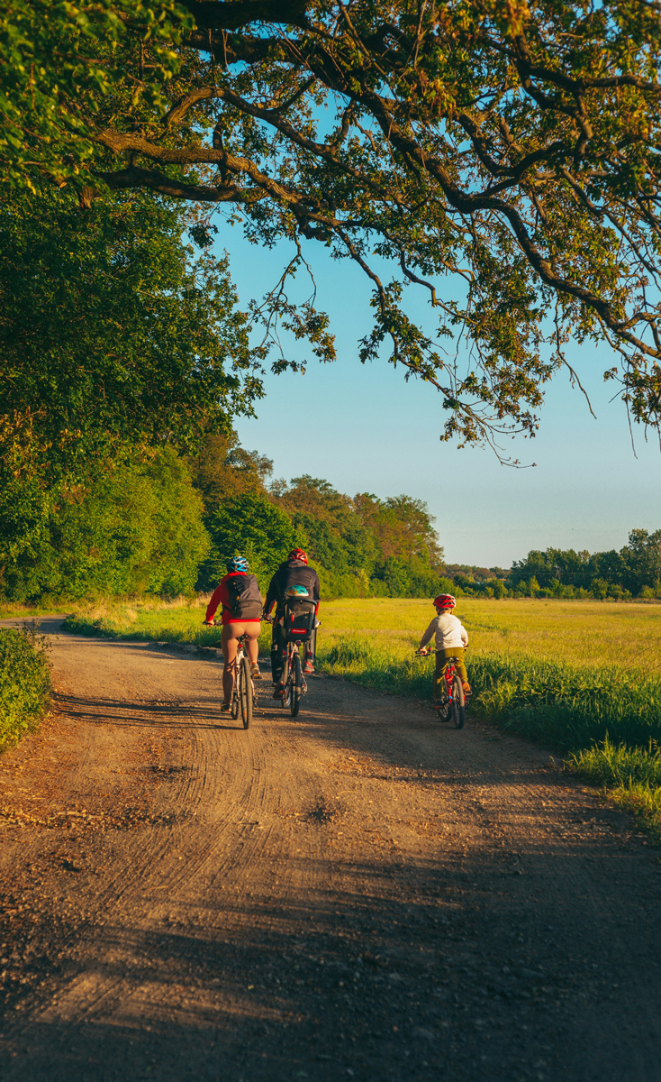 Circuit via rhona, un itinéraire à vélo à faire durant des vacances dans les Alpilles