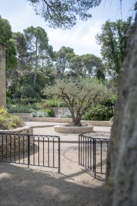 Entrée de la bastide de Dalméran avec un grand olivier