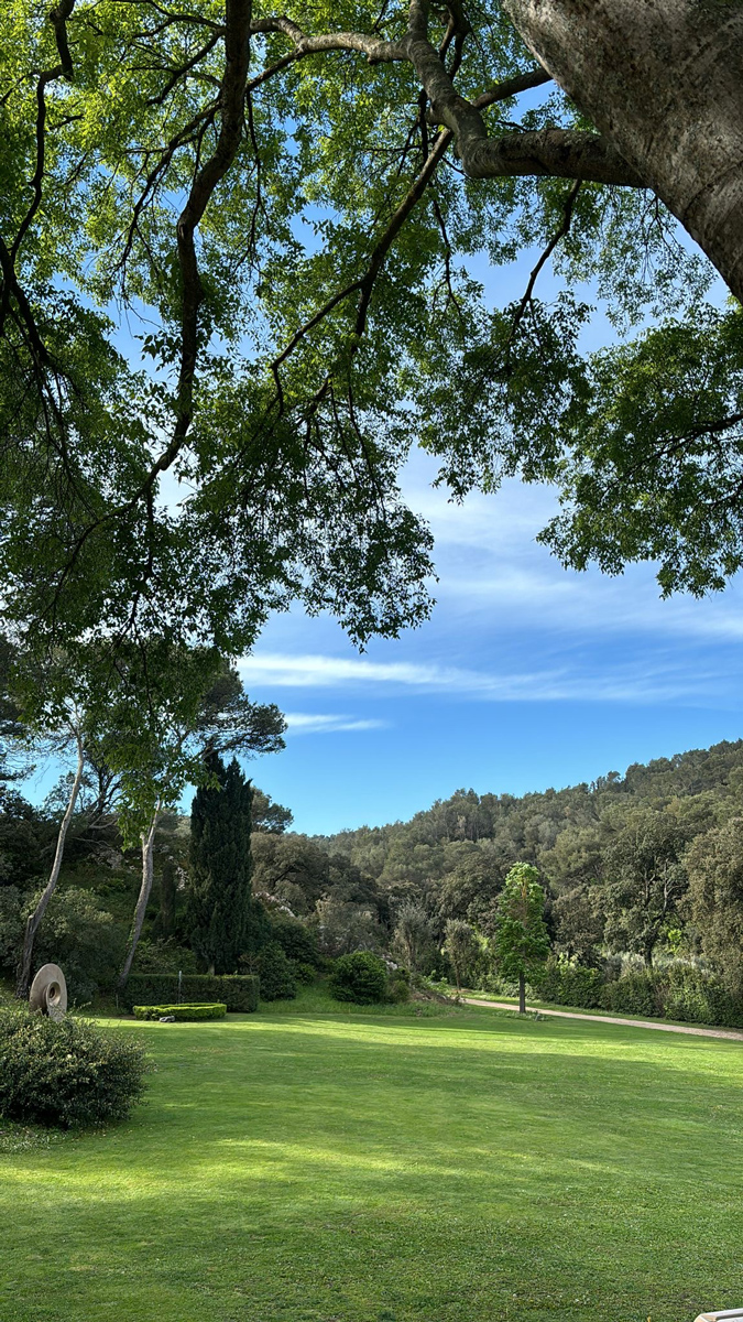 La vue sur les montagnes des Alpilles depuis le jardin de la Bastide de Dalméran